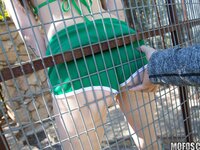 I Know That Girl - Leggy Brunette in a Cage - 01/24/2016